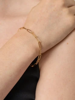Fashion Saint and Sofia Link Chain Bracelet - Gold